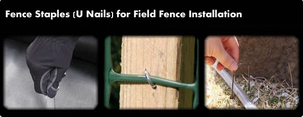 Stapling Nails Fastening Wire and Field Fence Fabrics