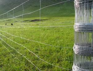 High Tensile Steel Wire Fences for Deer and Cattle Farming 