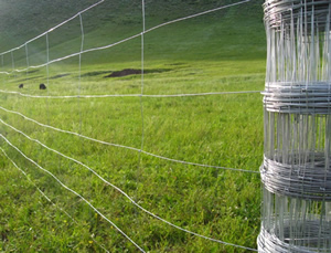 High Tensile Steel Wire Fences for Deer and Cattle Farming