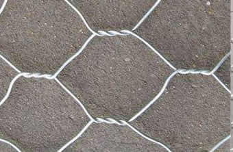 Galvanized Wire Mesh Chicken Netting